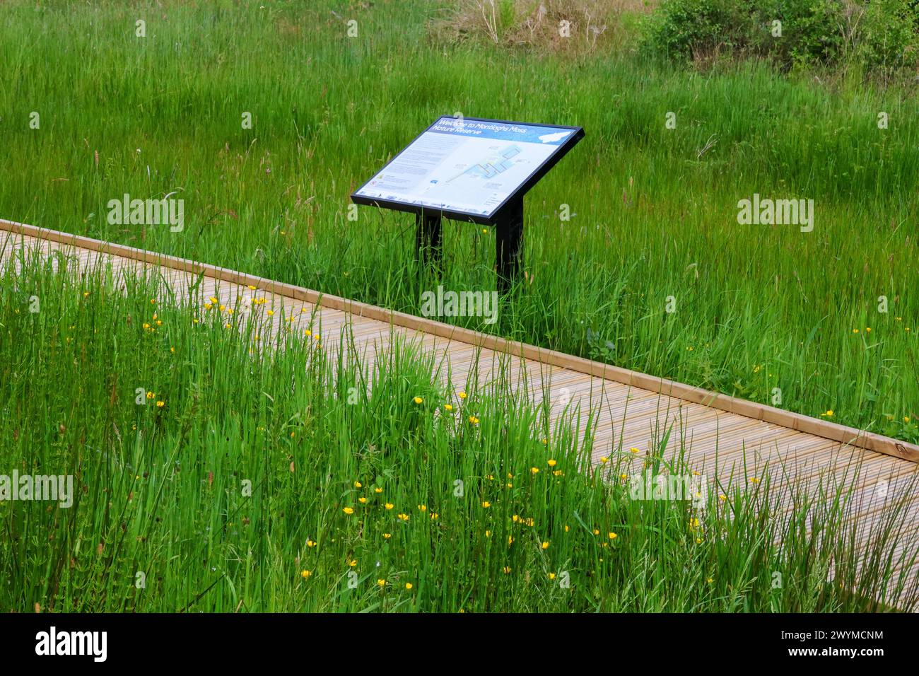 Montiaghs moss nature reserve hi-res stock photography and images - Alamy