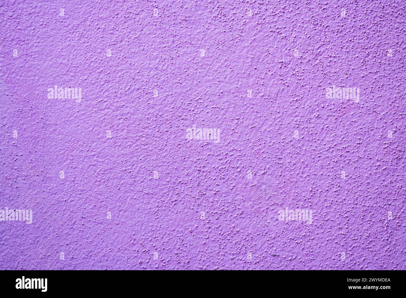 Purple colored cement wall texture background. Stock Photo
