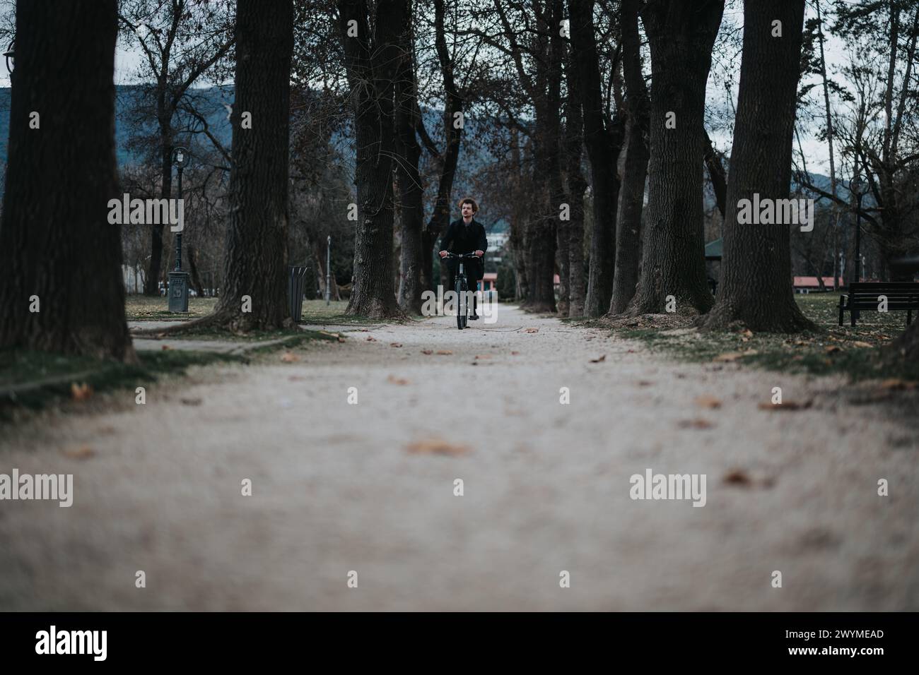 Serene park scene with a man leisurely biking on a pathway surrounded ...