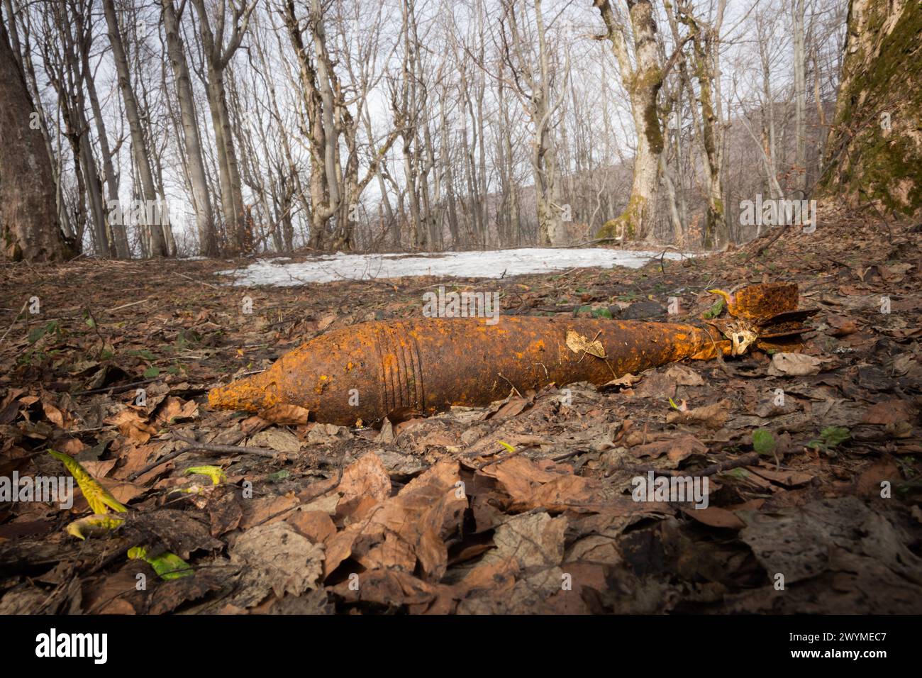 UXO unexploded ordnance - Soviet F-843 120mm mortar bomb, from M1938 mortar, from World War II. Found in the Eastern Carpathians in Poland Stock Photo