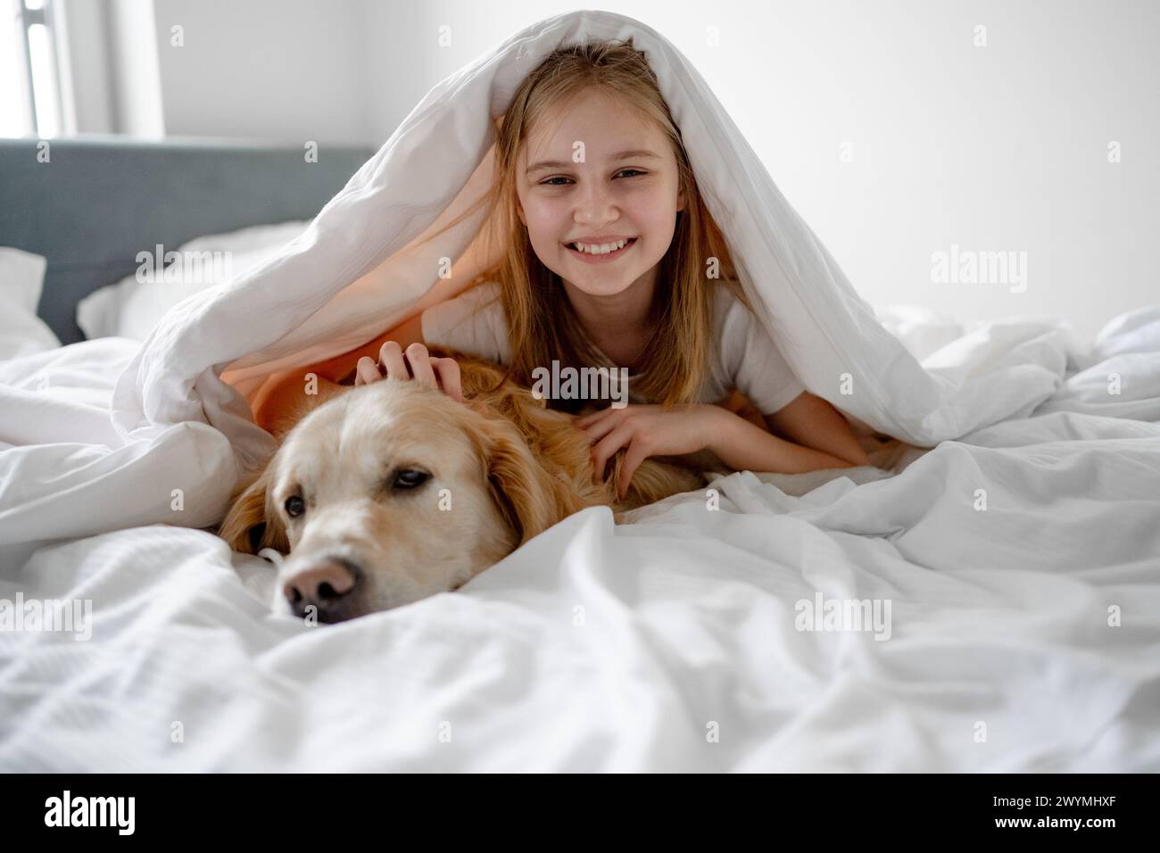 Girl Lies Under Blanket With Her Golden Retriever Dog Stock Photo - Alamy