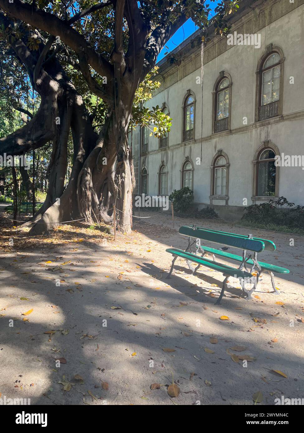 Lisbon,Portugal,Botanical garden,Principe Real area,Avenida metro station,exotic plants,wooden bench,National Museum of Science&Natural History Stock Photo
