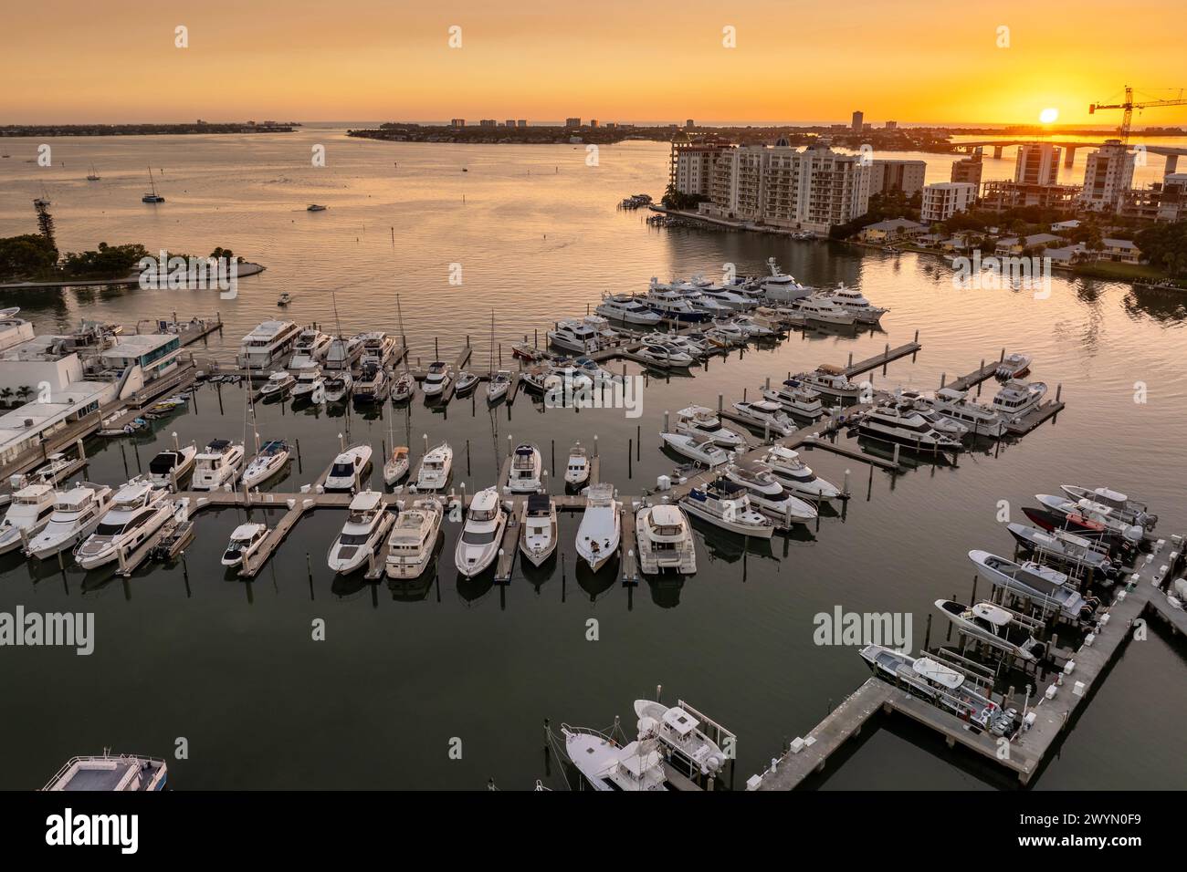 View of Sarasota Bay marina with luxury yachts and Florida city architecture at ...