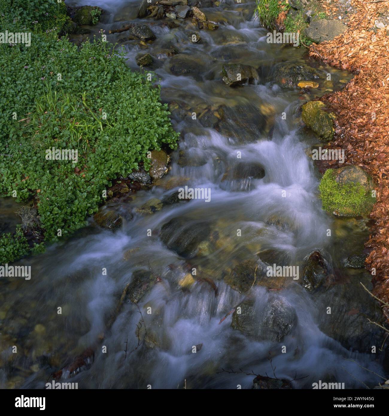 Scenic suds hi-res stock photography and images - Alamy