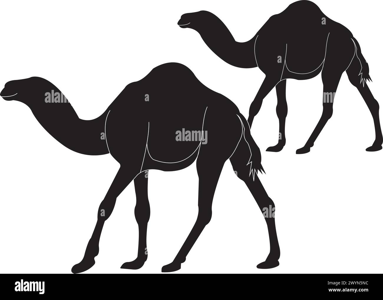Camel logo vector illustration design Stock Vector
