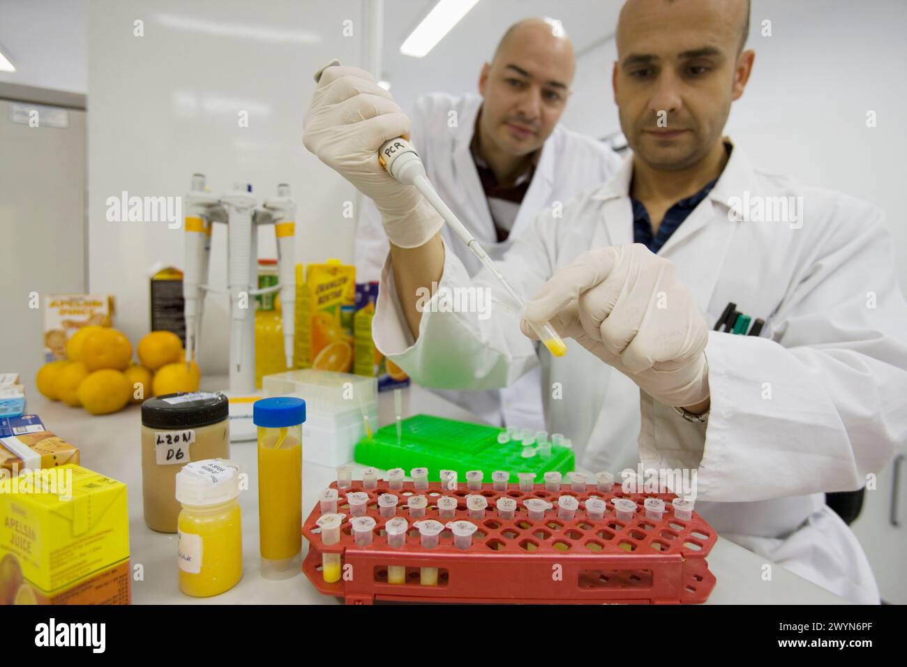 Molecular Biology Laboratory. Preparing samples to detect the addition