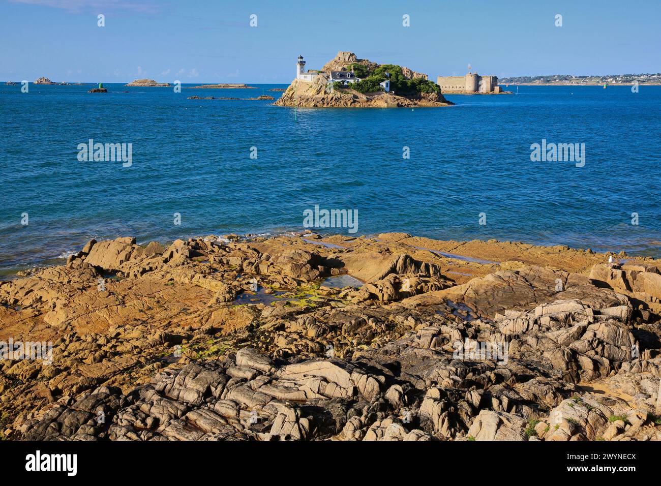 Lighthouse Louet Island, Chateau du Taureau, Carantec, Morlaix Bay, Finistère, Bretagne, Brittany, France. Stock Photo