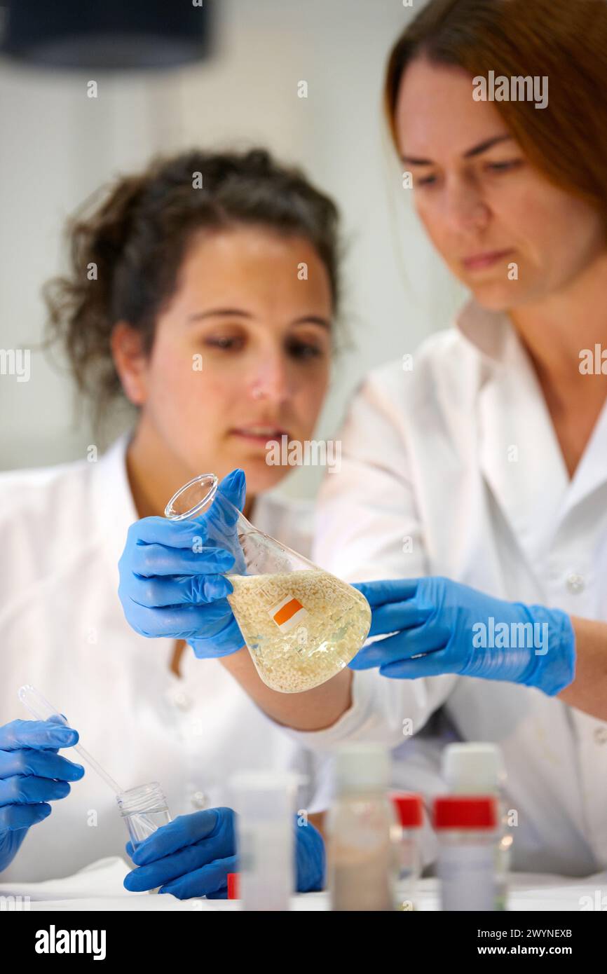 Transformation of grape juice into wine is a complex process requiring