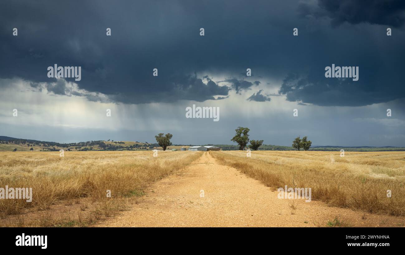 Looking down a country road through a dry field with rain falling from dark clouds above at Joyces Creek in Central Victoria, Australia Stock Photo