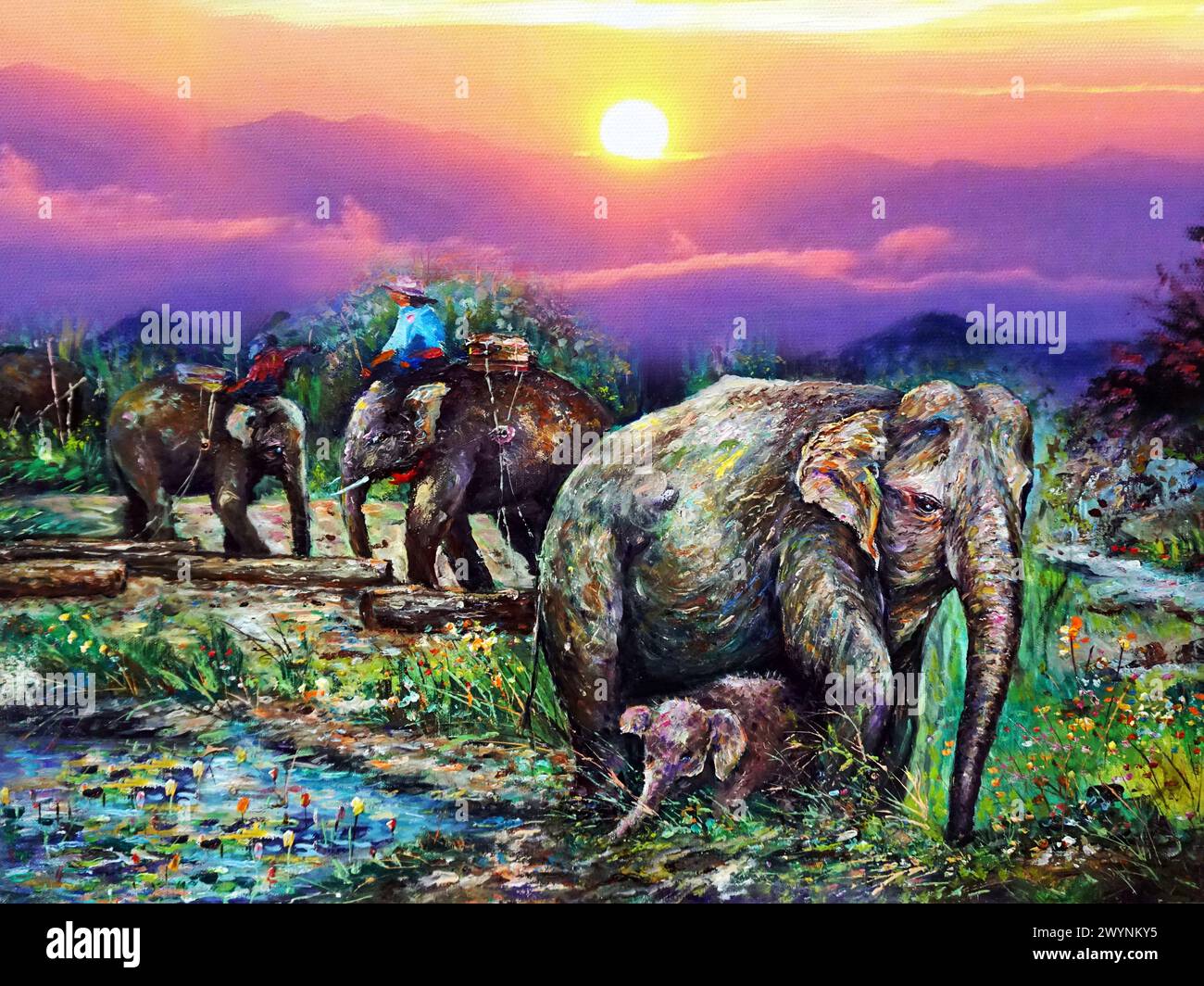 Asia elephant zoo hi-res stock photography and images - Page 14 - Alamy