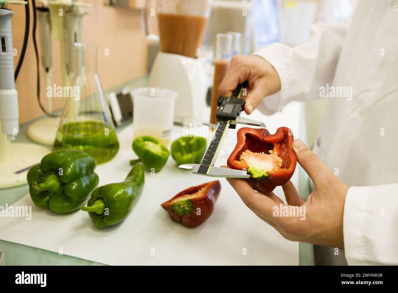 Analysis of pepper fruits morphology hires stock photography and