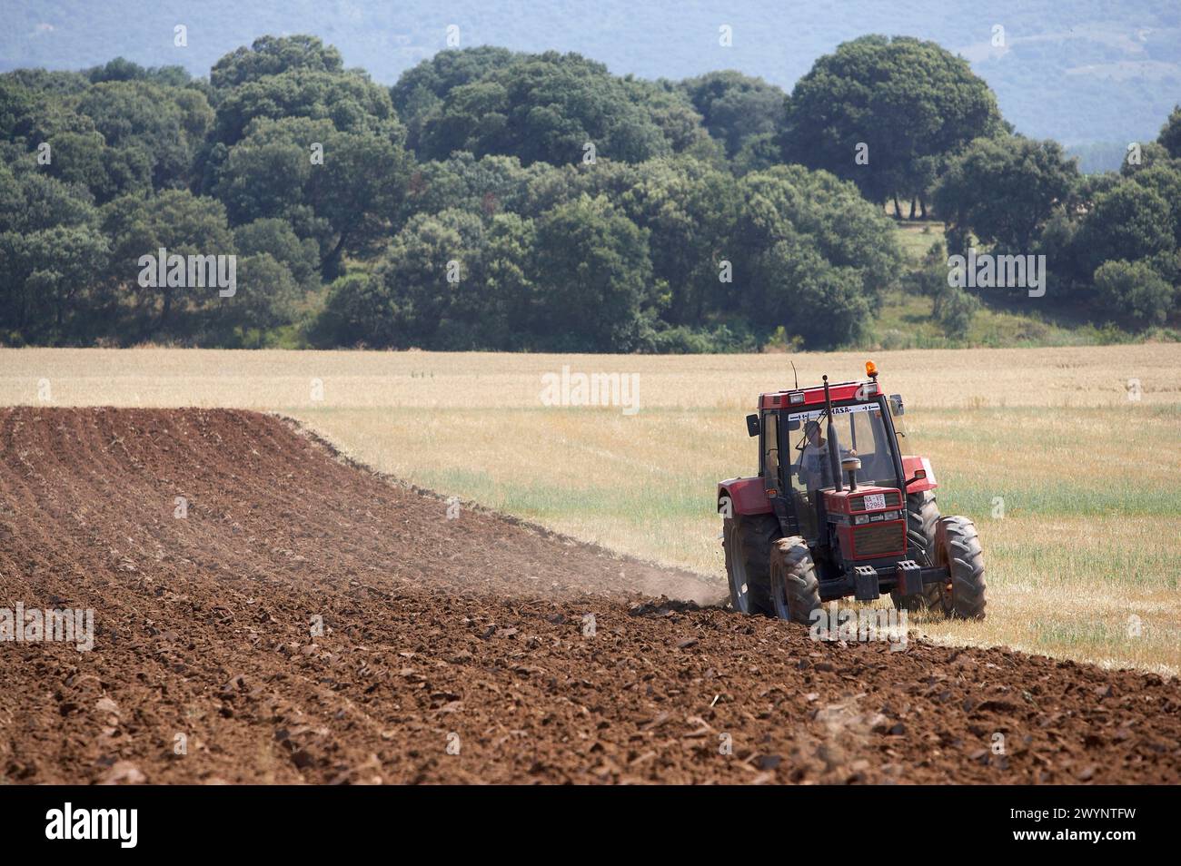 Tractor with mouldboard plough, grain fields, Oco, near Estella, Navarra, Spain. Stock Photo