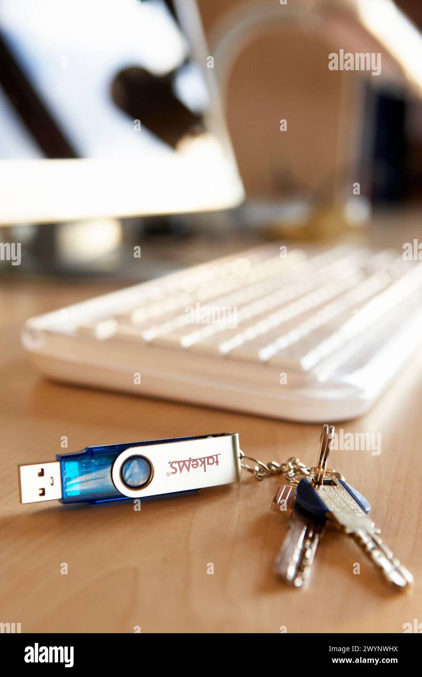 Key ring with pendrive. Stock Photo