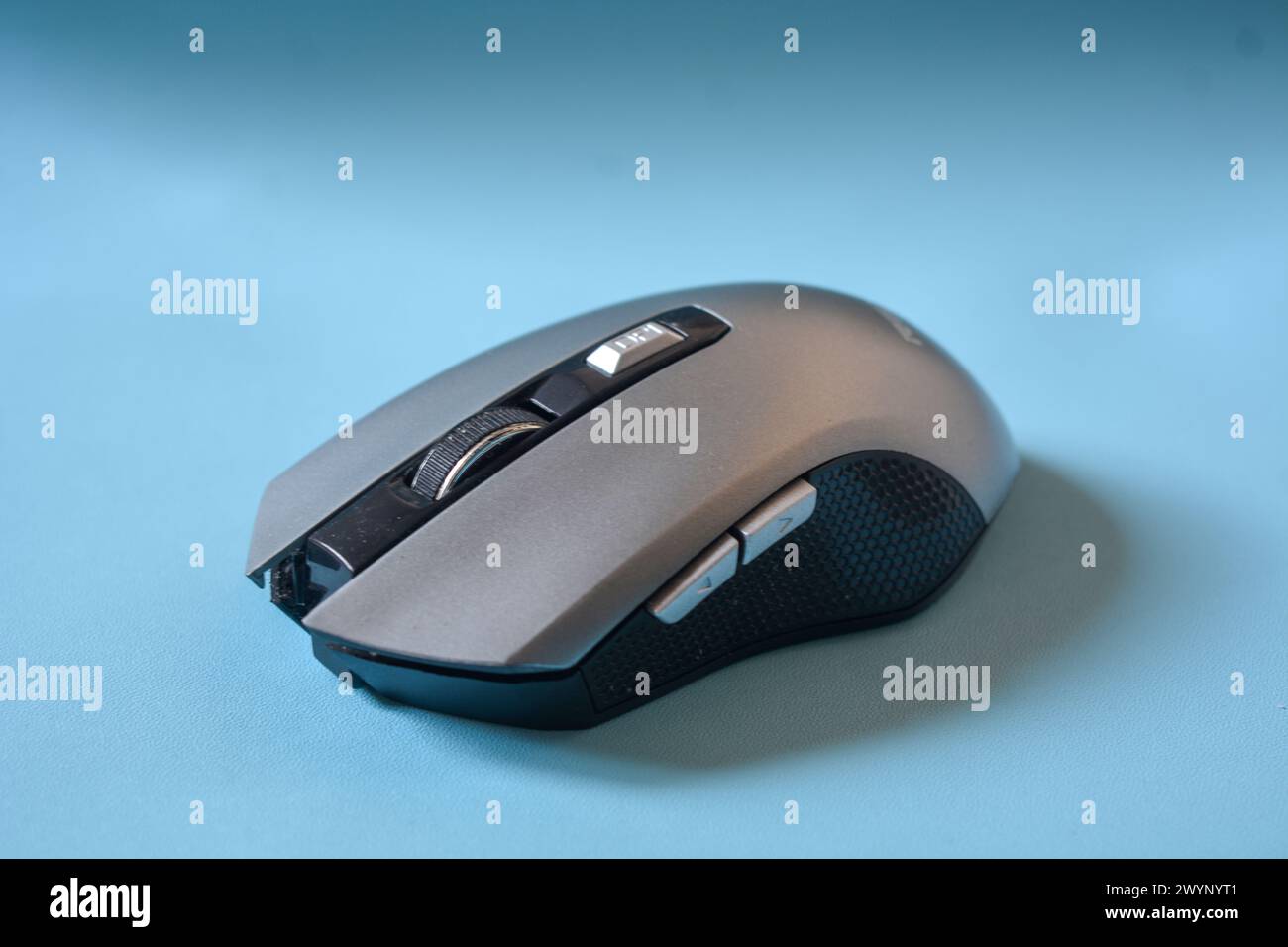 Gray color mouse on a blue background. Stock Photo