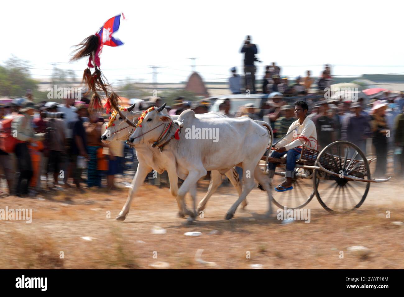 Kampong Speu, Cambodia. 7th Apr, 2024. A contestant races his ox cart in Kampong Speu province, Cambodia, on April 7, 2024. At dawn on Sunday, Cambodian villagers gathered to race their ox carts across a field, reviving centuries-old tradition in the Southeast Asian nation. Credit: Sovannara/Xinhua/Alamy Live News Stock Photo