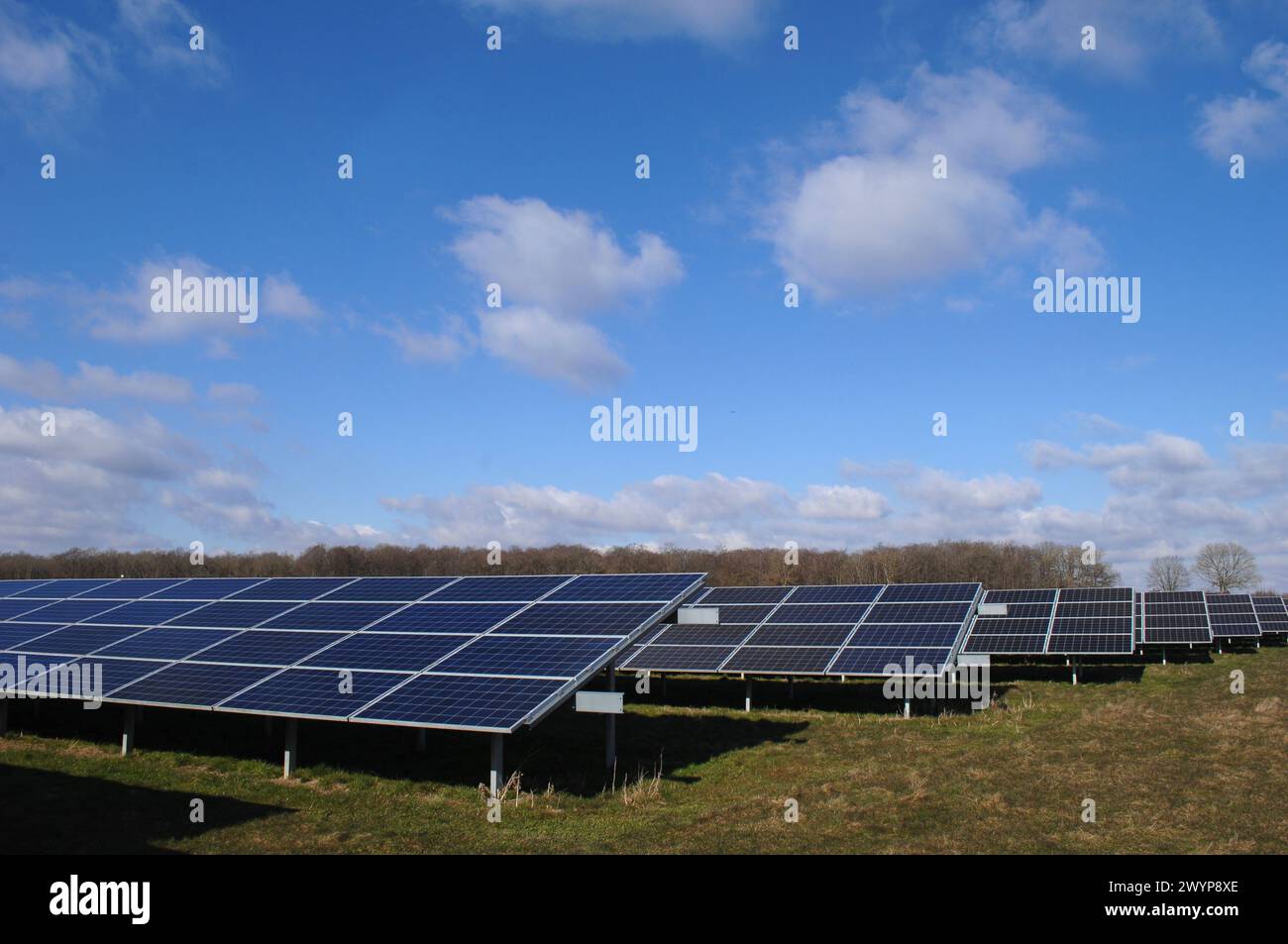 Rows of solar panels producing green energy Stock Photo - Alamy