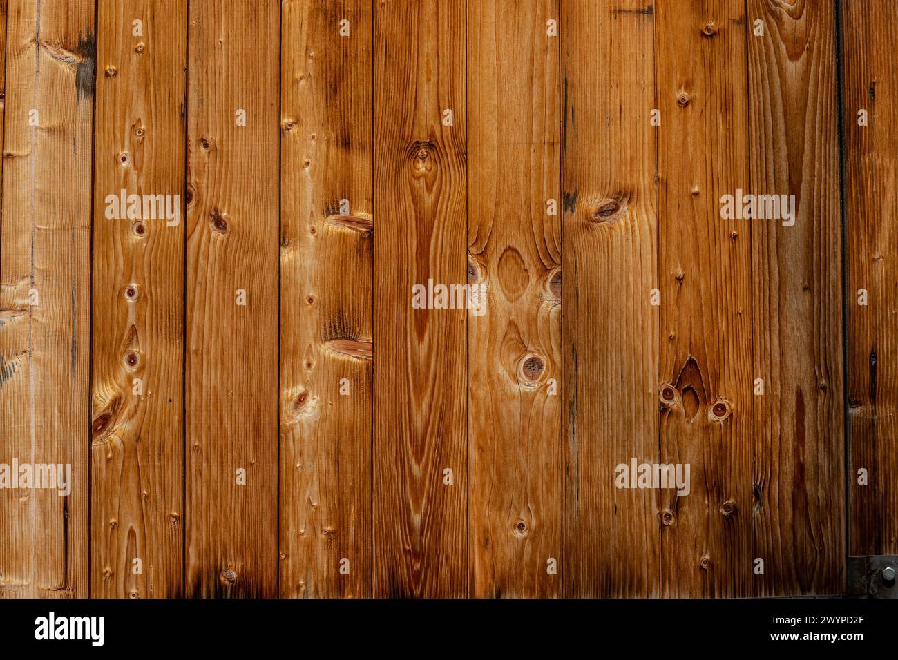 Walnut wood texture. Super long walnut planks texture background.Texture element. Stock Photo