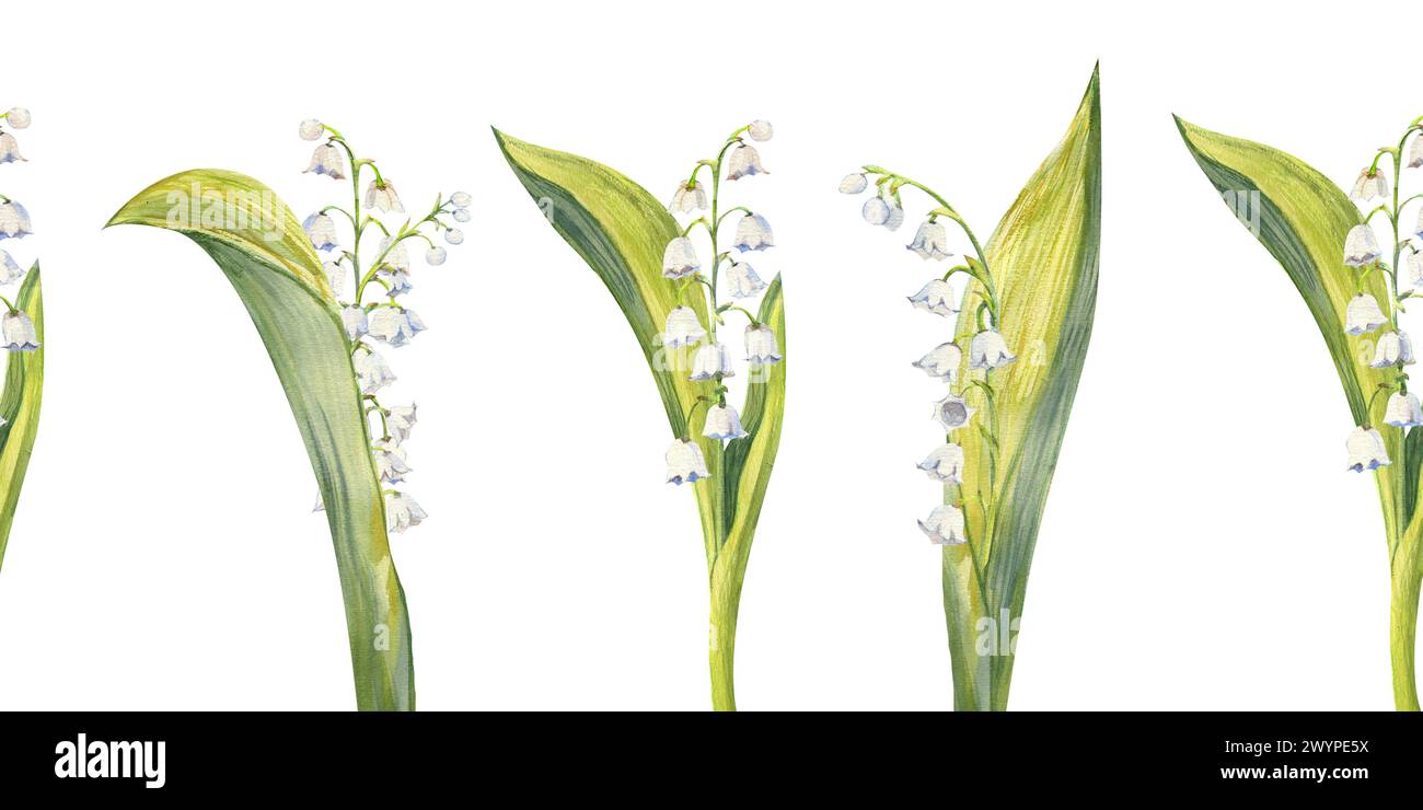 Seamless border with spring lily of the valley flowers. Watercolor ...