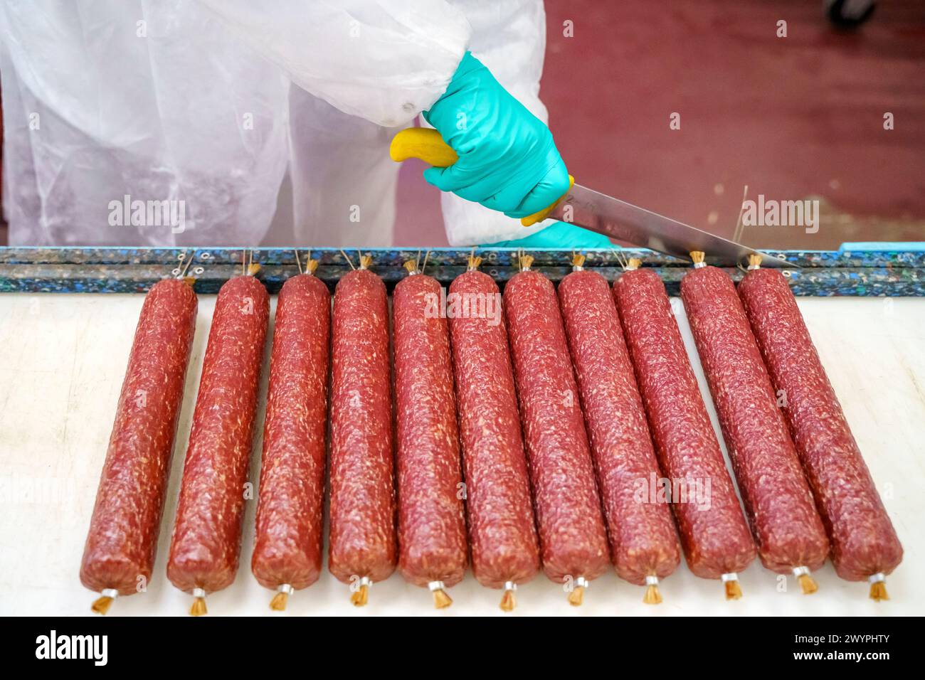 Salami sausage production at a meat factory. Pork and beef sausage salami industry. High quality photo Stock Photo