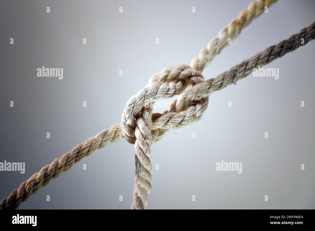 Two ropes joint together in a knot, concept for teamwork, business and
