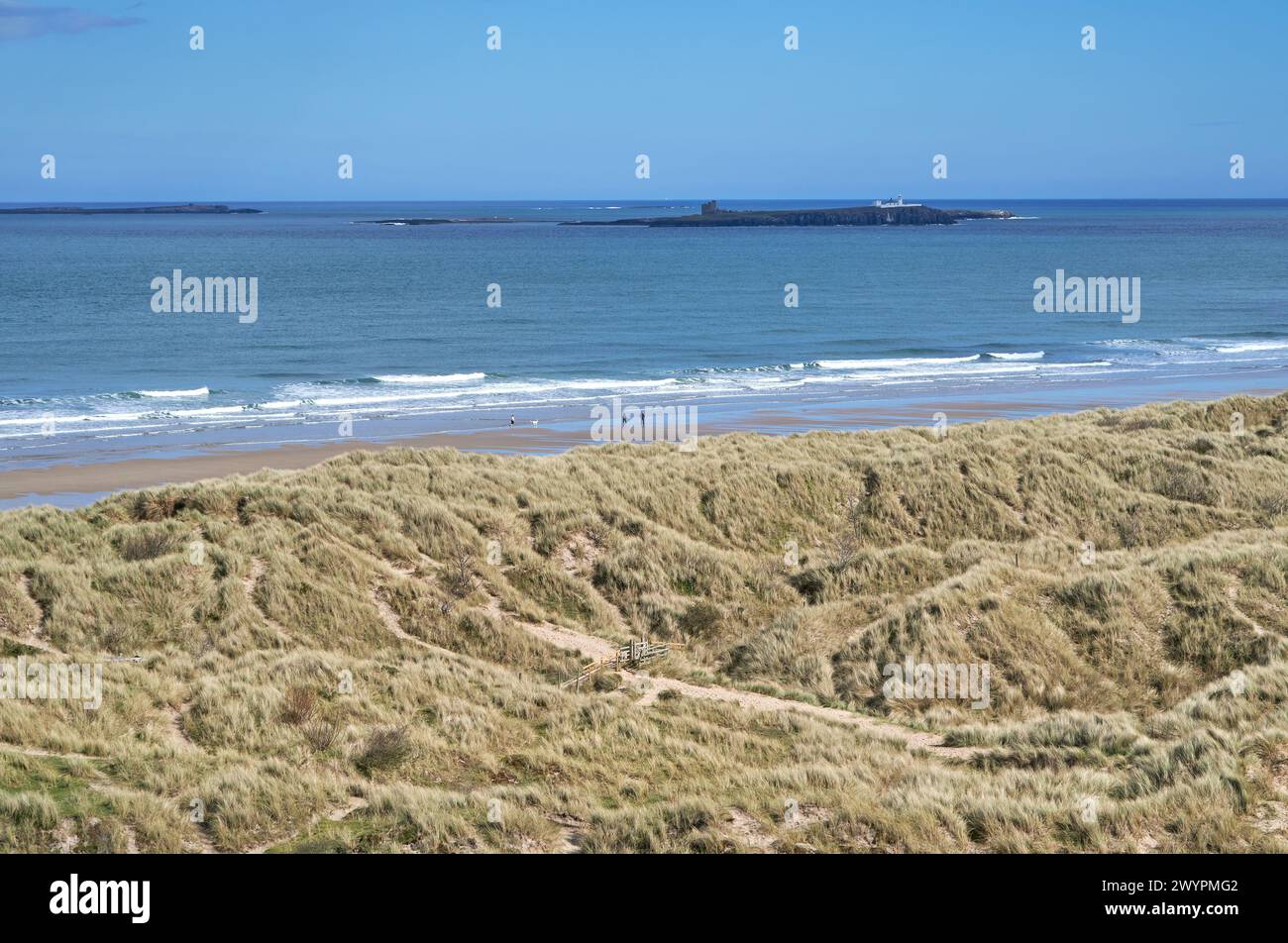 The Farne islands off the Northumbrian coast near Bamburgh Castle, UK Stock Photo