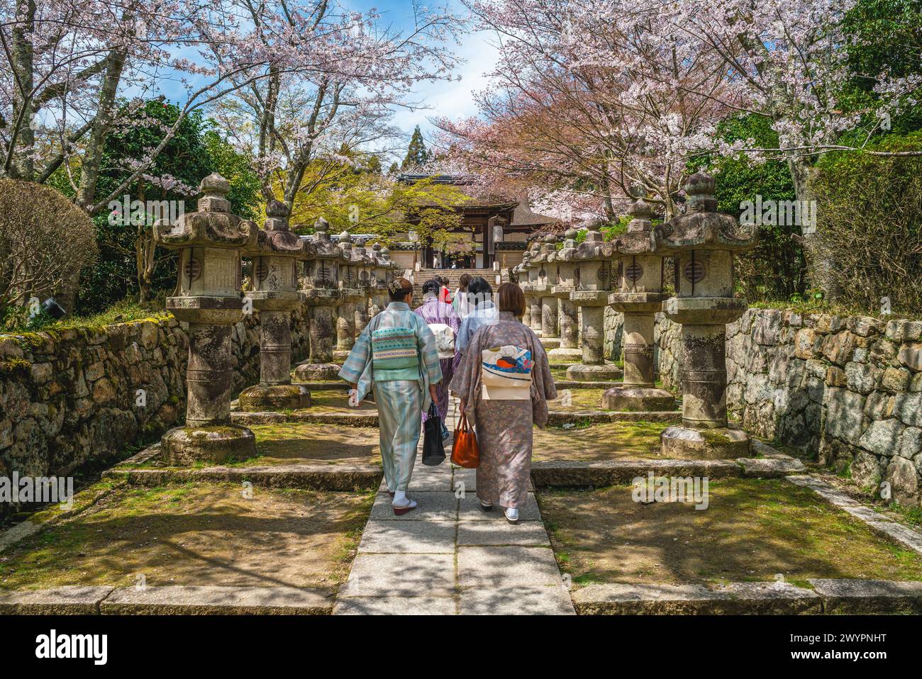 Onjoji temple, or Miidera, with cherry blossom at Mount Hiei in Otsu city in Shiga, Japan Stock Photo