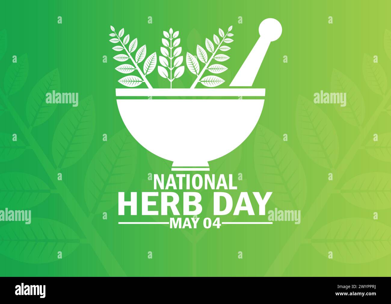 National Herb Day. May 04. Holiday concept. Template for background