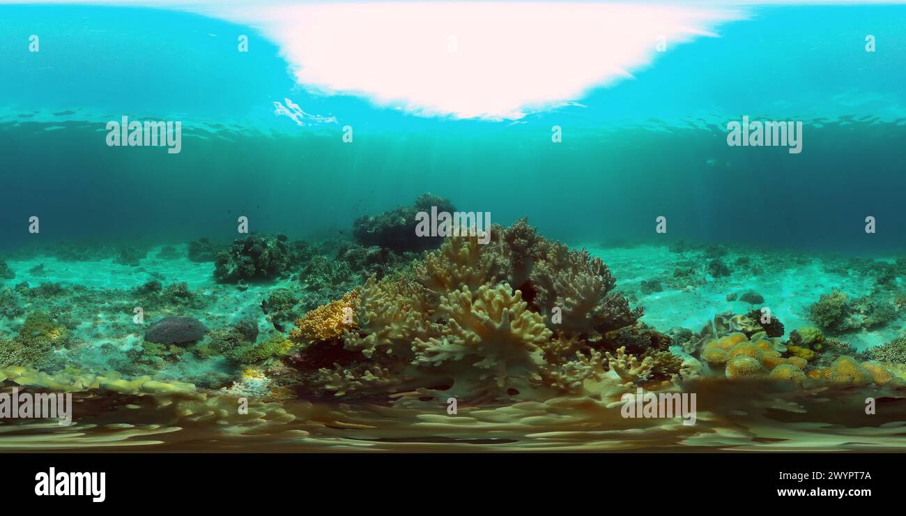 360 panoramic 360 vr vr vr image hi-res stock photography and images ...