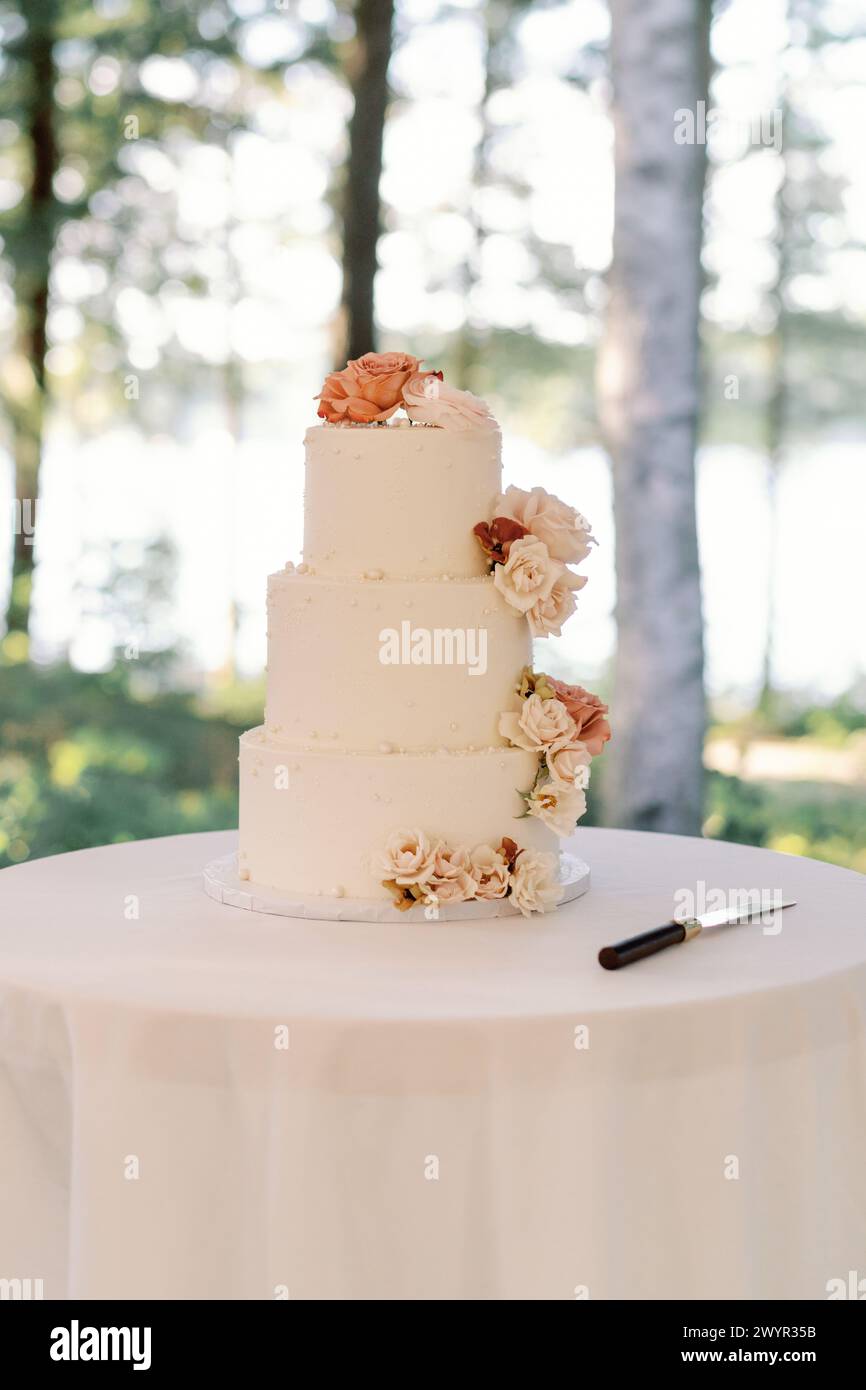 Tiered wedding cake with floral accents Stock Photo - Alamy