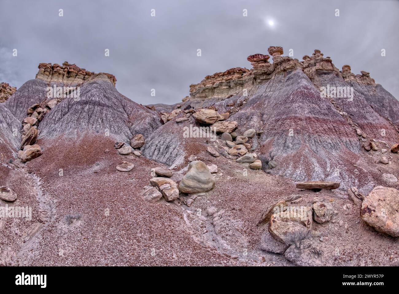 Goblin Ridge at Petrified Forest AZ Stock Photo - Alamy