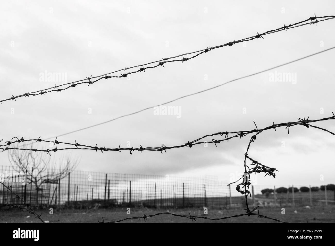 Black and white wire fence Stock Photo - Alamy