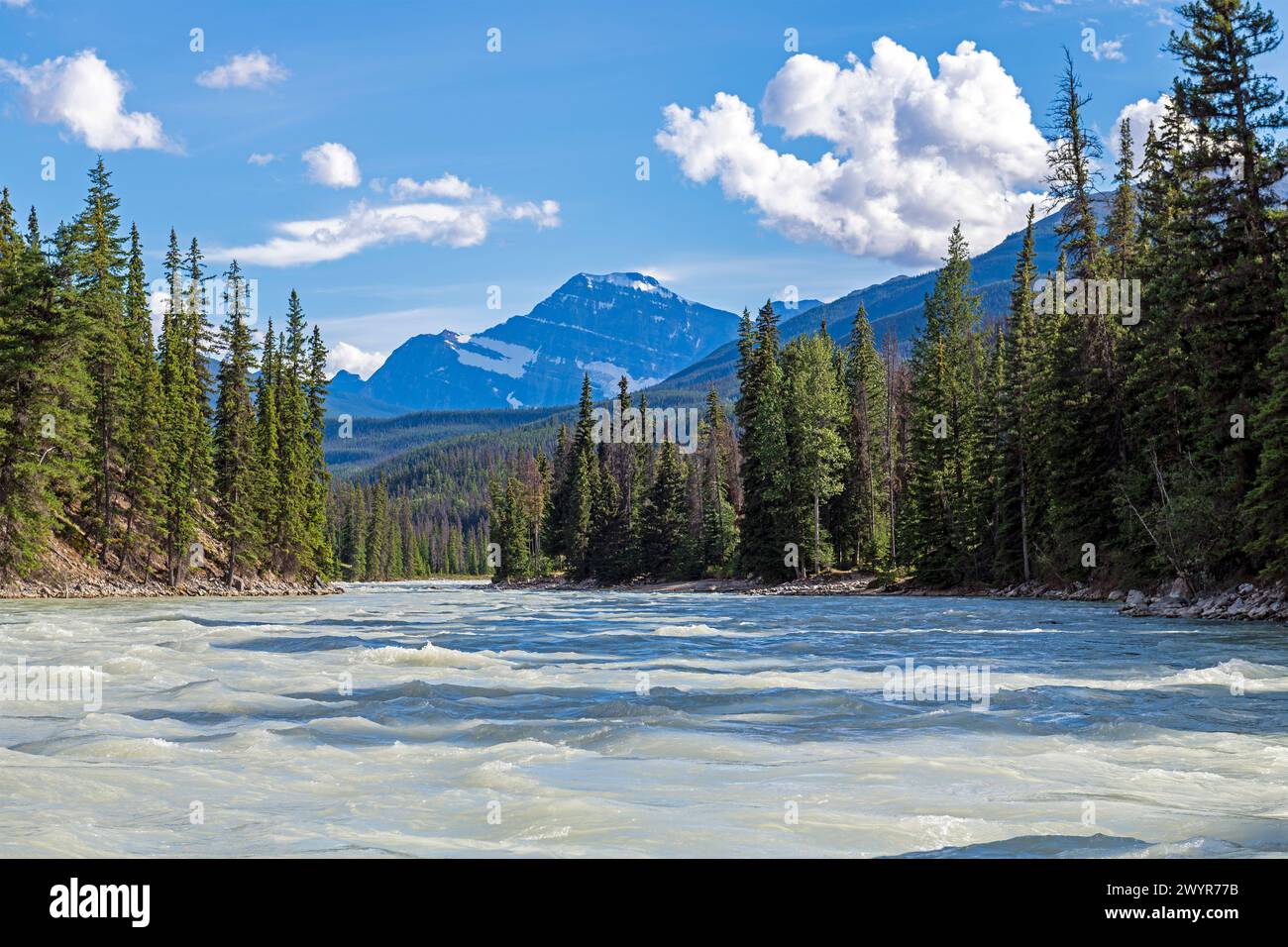 Athabasca river landscape during rafting excursion, Jasper national Park, Canada. Stock Photo