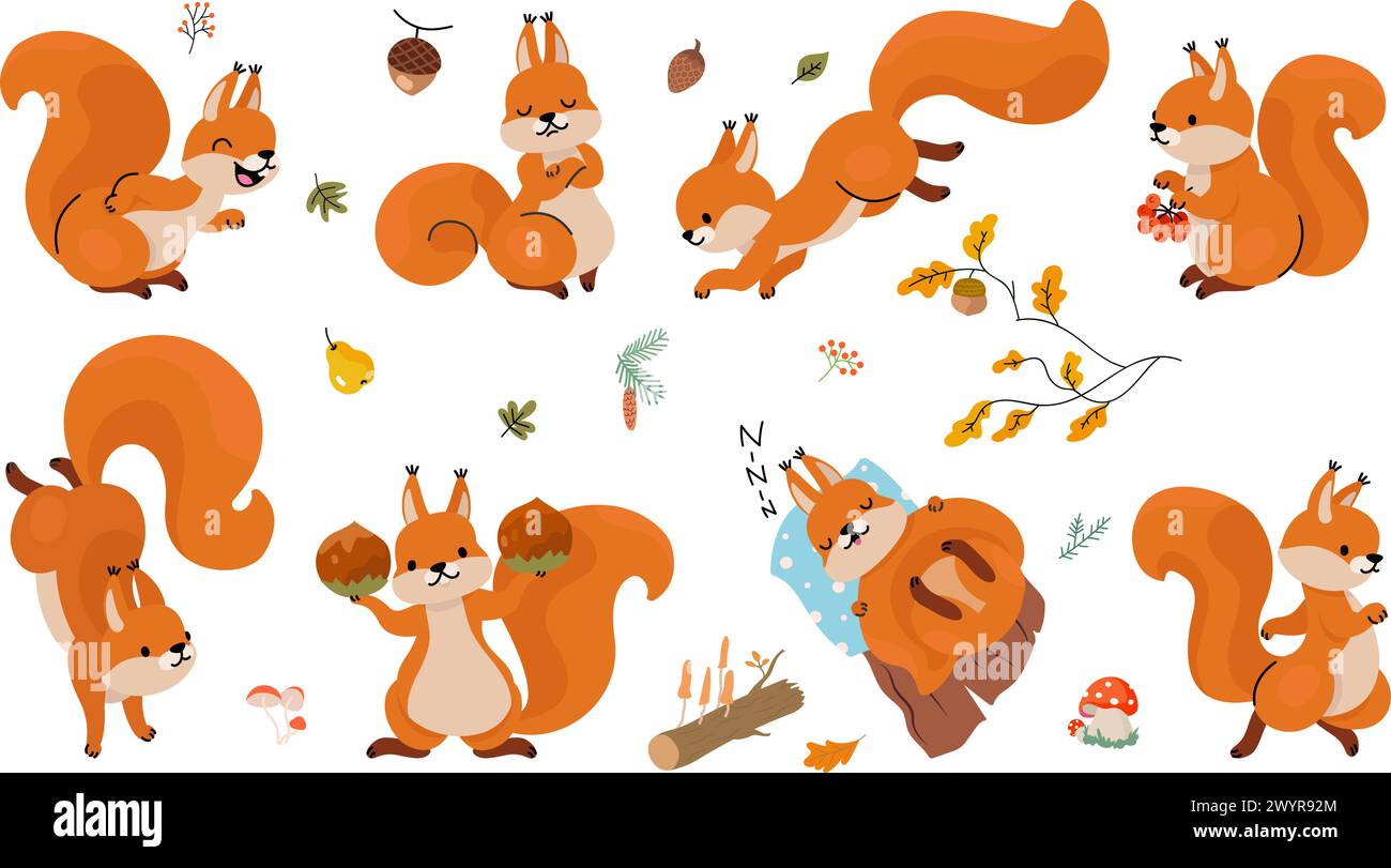 Funny squirrel. Cartoon forest red squirrels with nuts. Emotional animal run, jump, sleep and laughing. Cute children mascots nowaday vector clipart Stock Vector