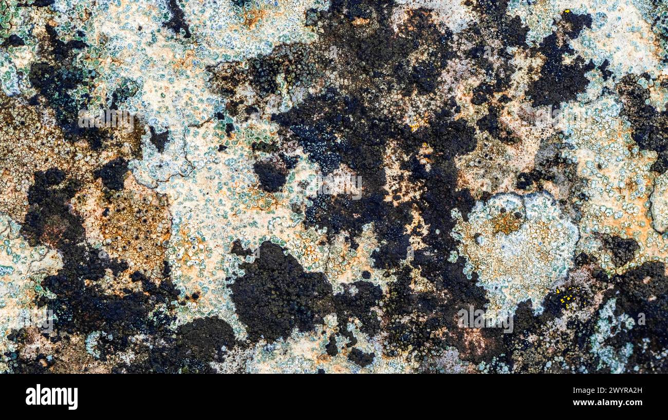 Old Wall Surface Abstract Textured Background Design Stock Photo