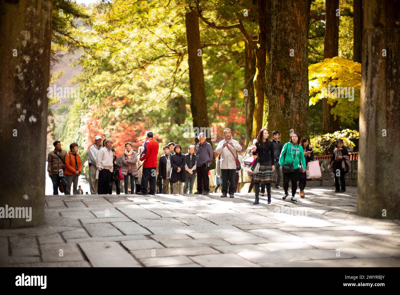 Tour group guide at Tōshō-gū, Nikko, Japan. Stock Photo