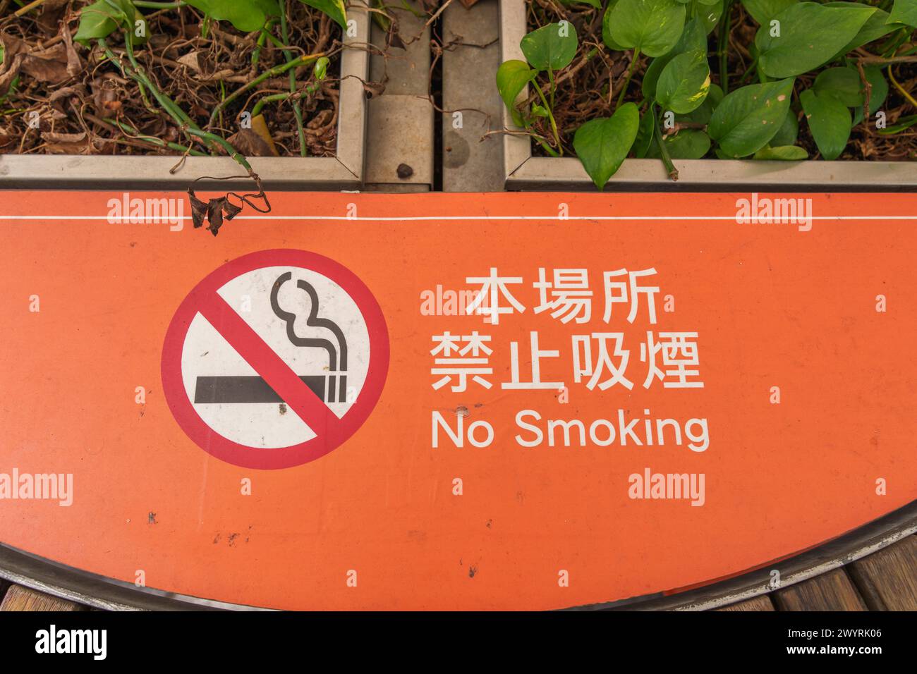 no smoking- red sign in Chinese and English Stock Photo