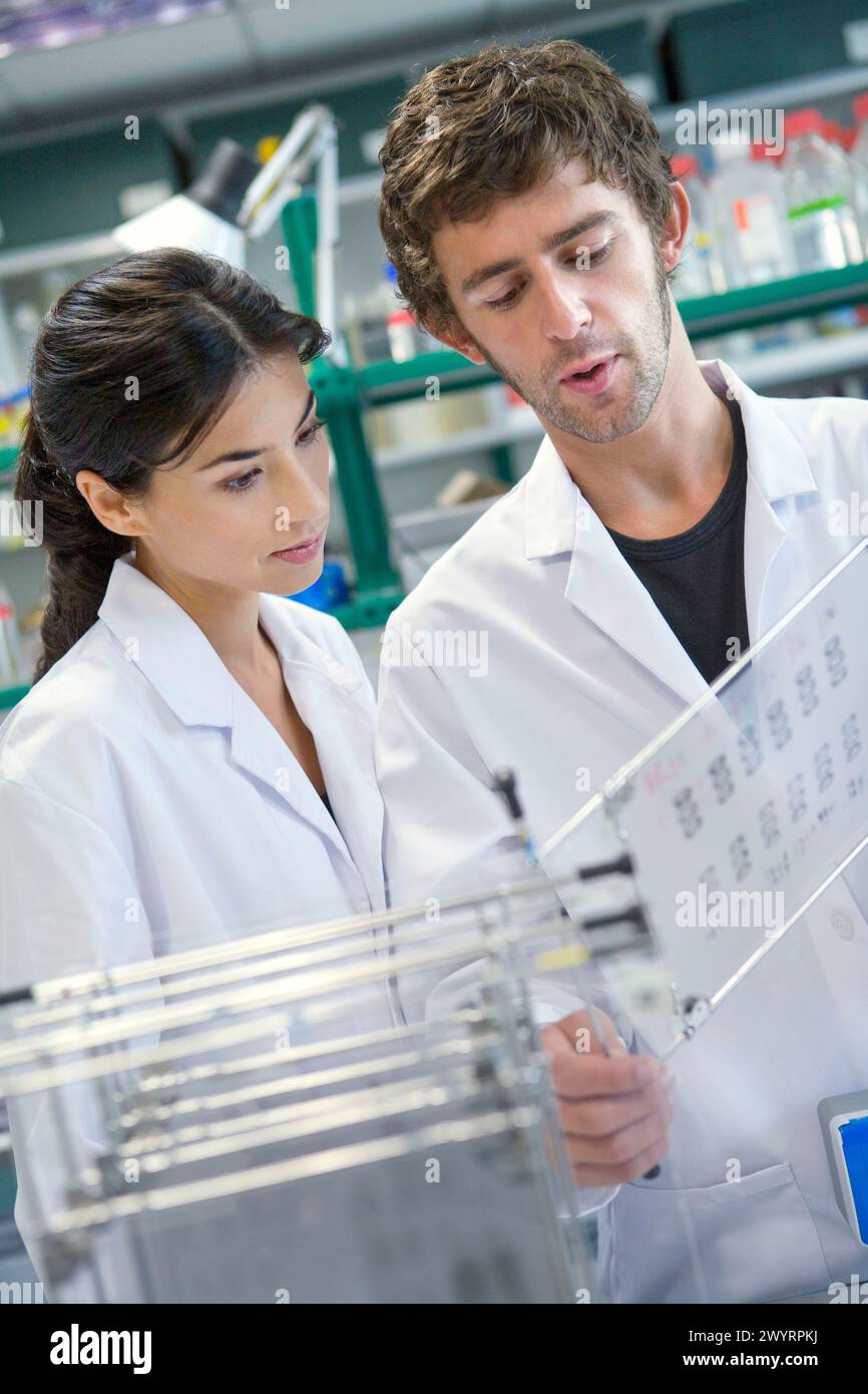 Two female researchers looking hi-res stock photography and images - Alamy