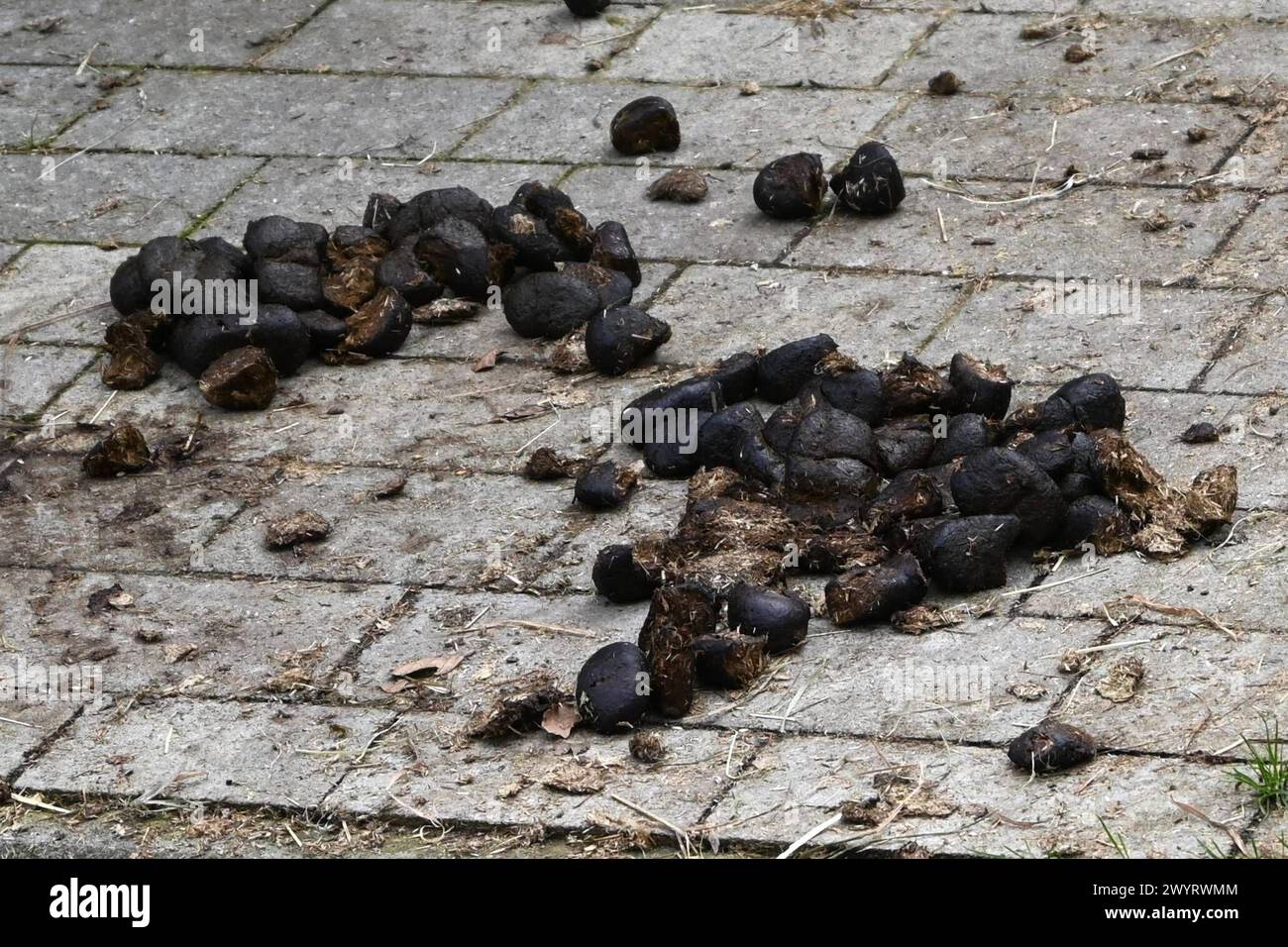 Low nitrogen fertilizers hires stock photography and images Alamy