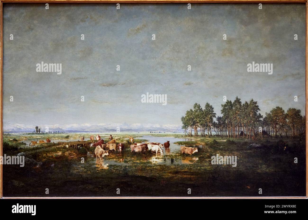 'A Marsh in the Landes', 1852, Théodore Rousseau, 1812-1867, Musée du Louvre, Paris, France, Europe Stock Photo