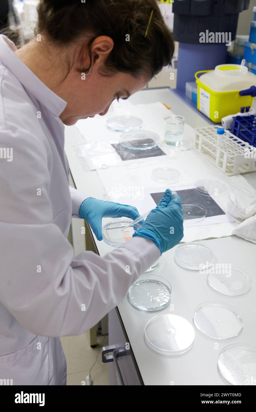 Laboratory research with zebrafish, Biobide is a GLP certified ...