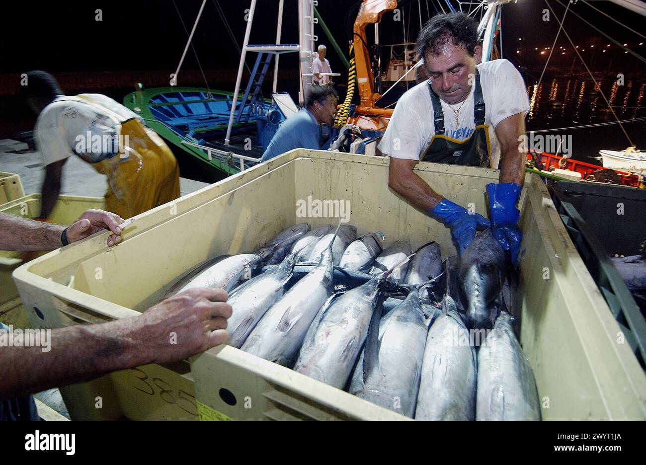 Unloading Fish Close up fishermen unloading crates hi-res stock photography and images ...