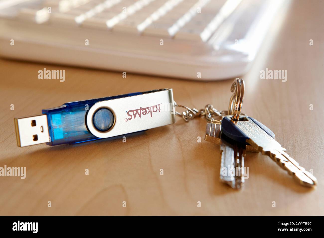 Key ring with pendrive. Stock Photo