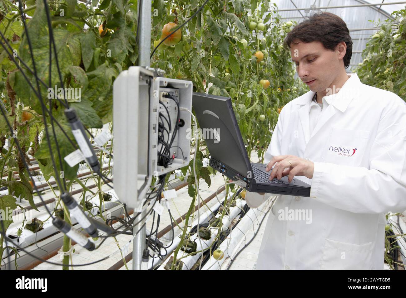 Planta de laboratorio hi-res stock photography and images - Alamy
