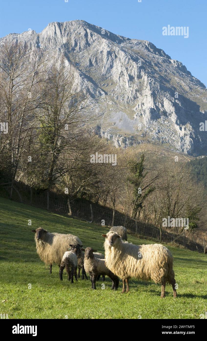 Mount Amboto. Urkiola Natural Park. Axpe. Atxondo Valley. Bizkaia. Euskadi. Spain. Stock Photo