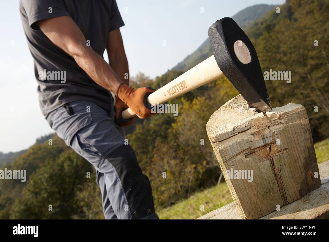 Farmer cutting wood with wedge club, Sledgehammer wedge, Agricultural