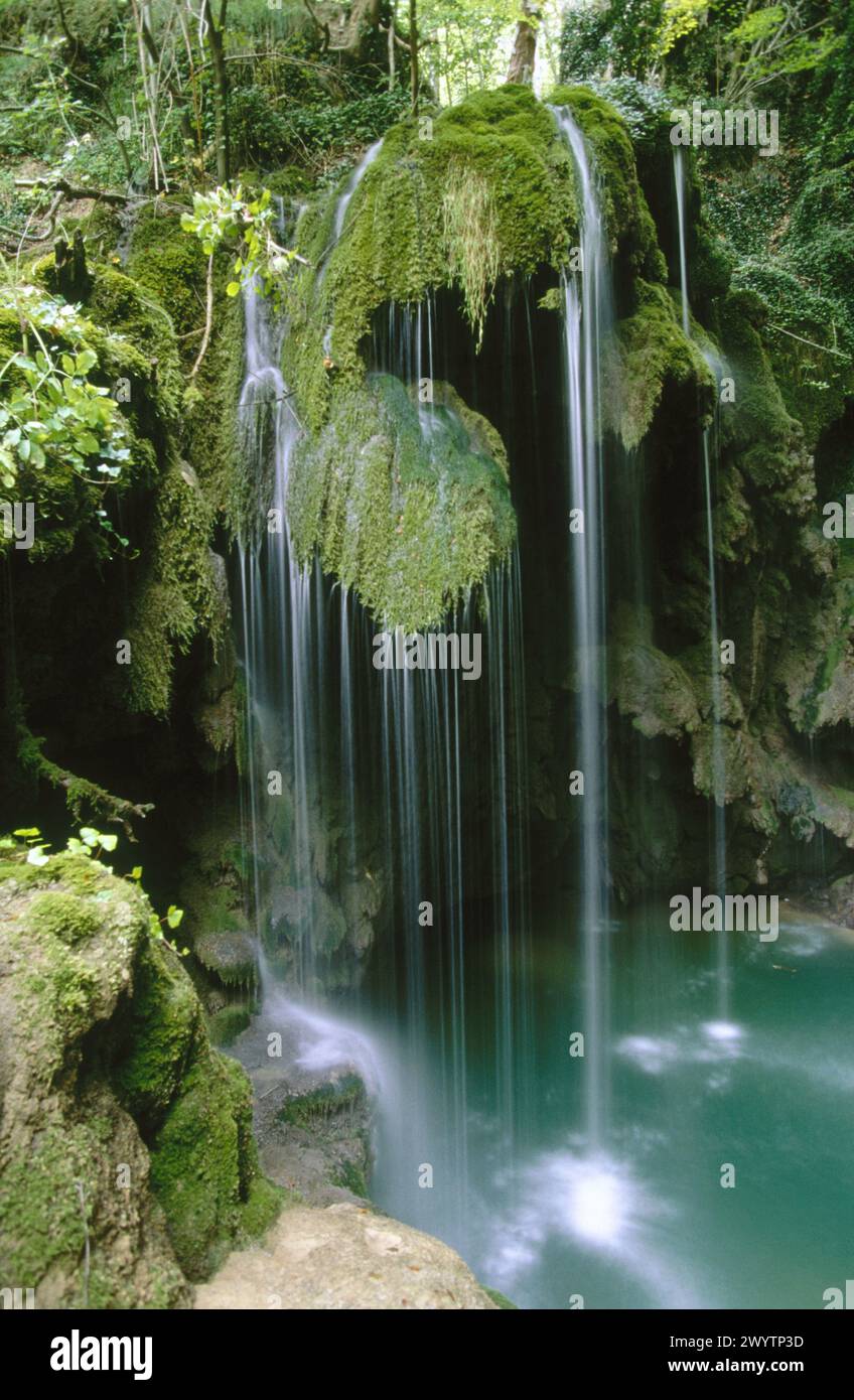River ecosystem diagram hi-res stock photography and images - Alamy