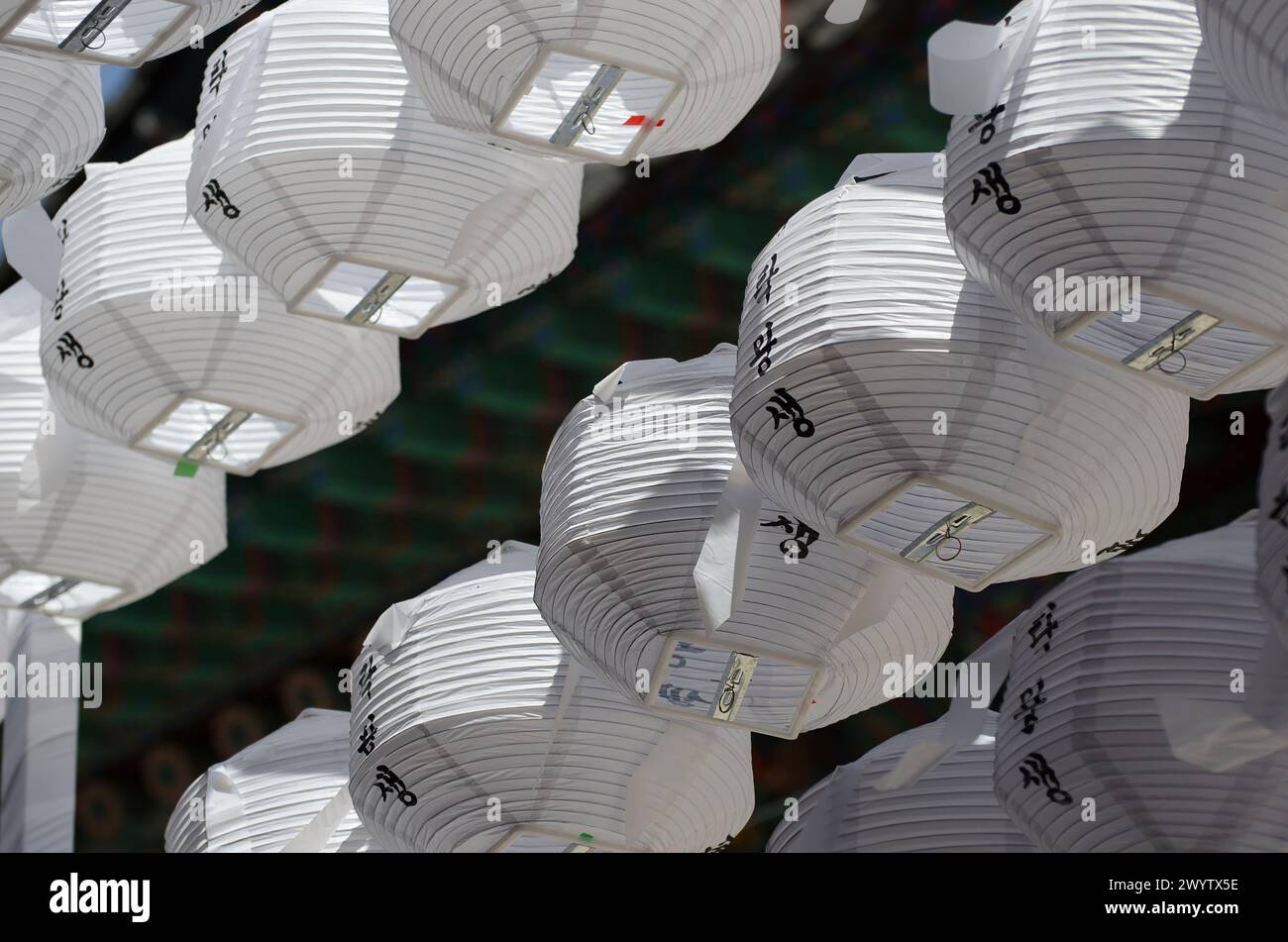 A row of lanterns with Chinese writing on them. The lanterns are white and are hanging from a building Stock Photo