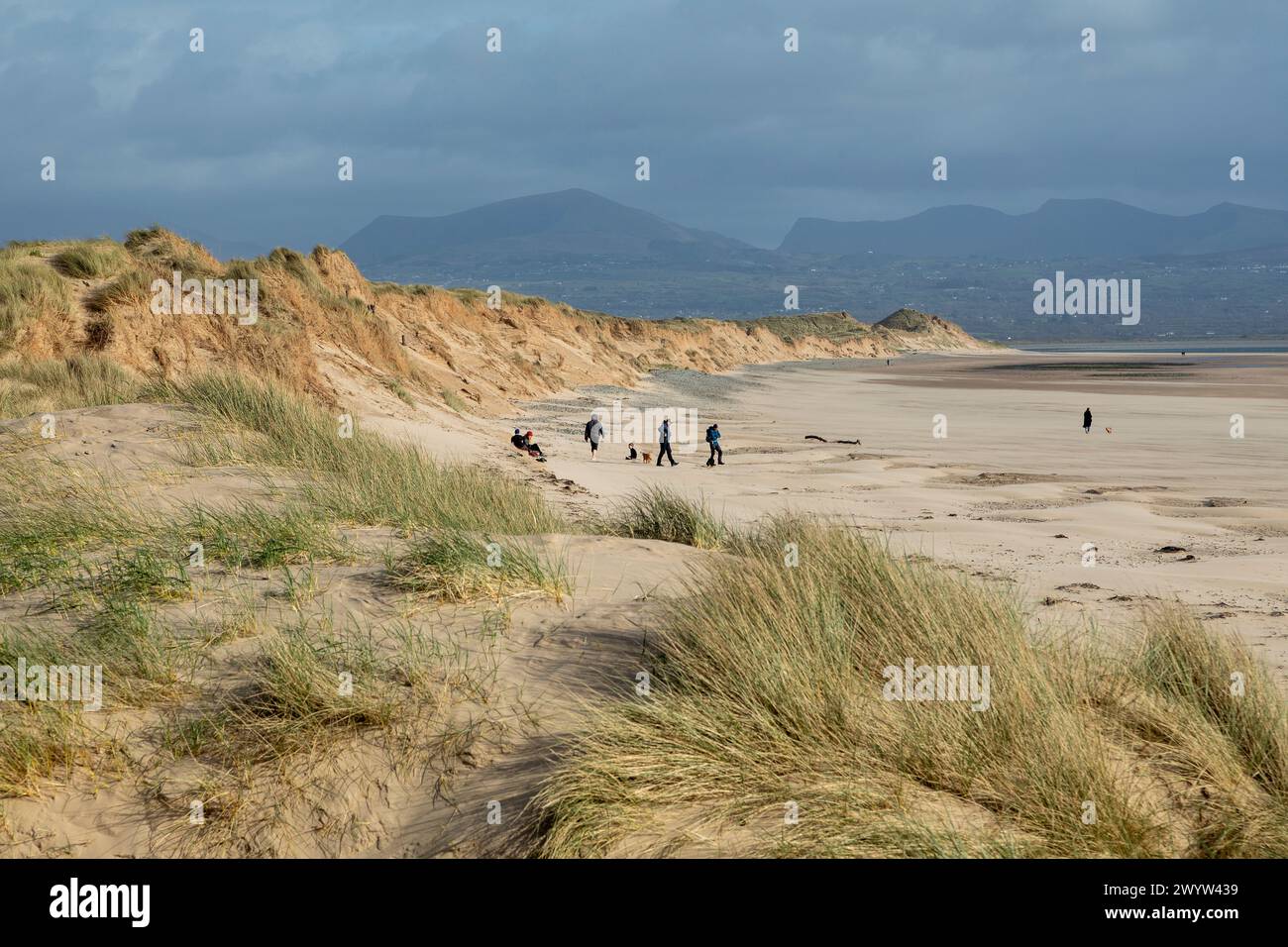 Beach, sand dunes, people, clouds, mountains, LLanddwyn Bay, Newborough, Anglesey Island, Wales, Great Britain Stock Photo