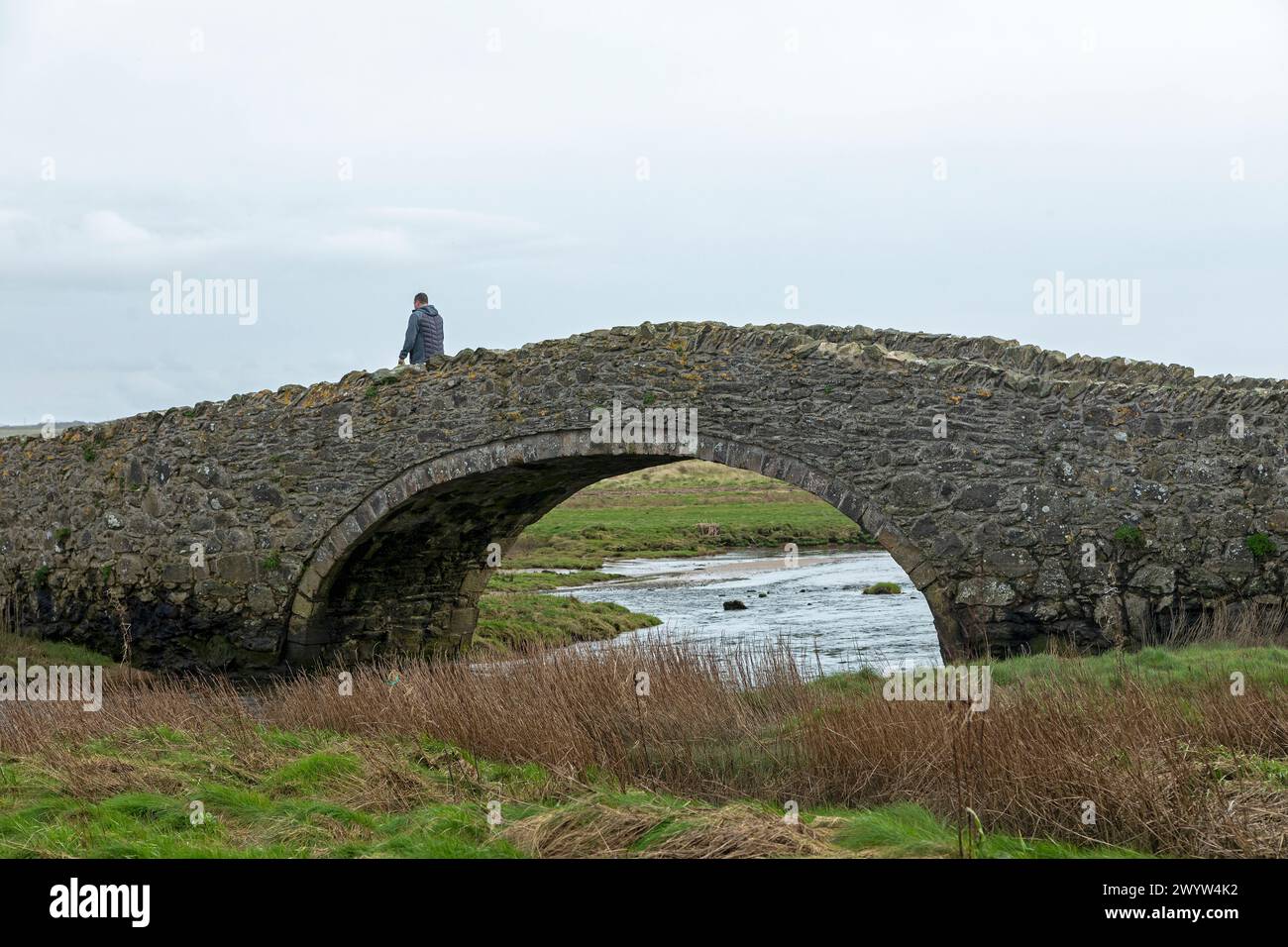 Stone bridge, person, Aberffraw, Anglesey Island, Wales, Great Britain Stock Photo