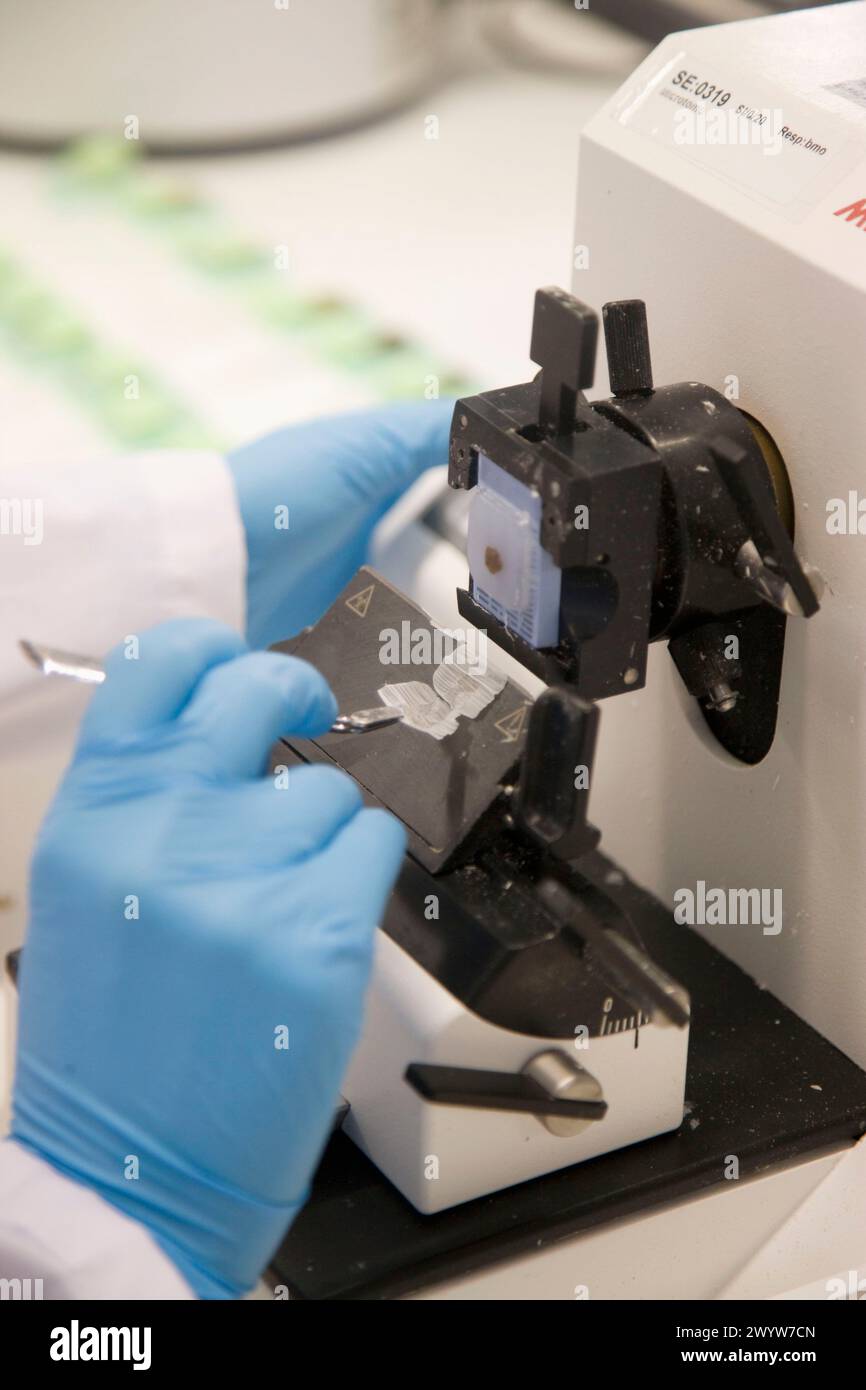 Microtome, Laboratory of Pathological anatomy, Departamento de ...